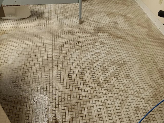 Sparkling white tile and grout lines in a meticulously cleaned kitchen floor, reflecting light.